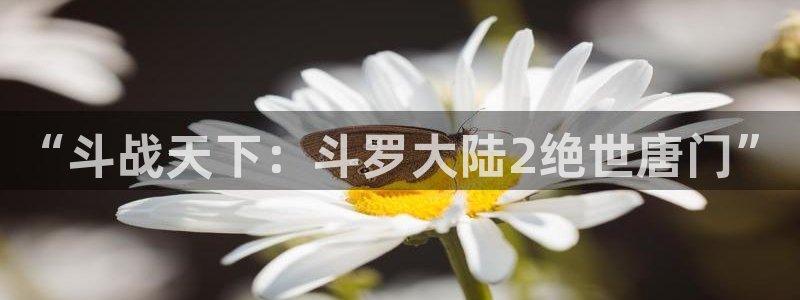 行业资讯